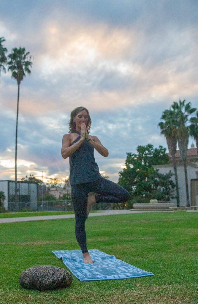 Yoga Flamingo